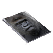 Flachlandgorilla, Gorilla gorilla, Notitieboek (Rechterzijde)