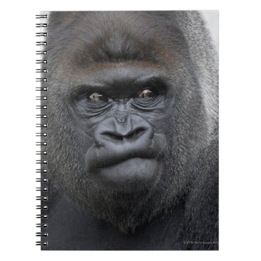 Flachlandgorilla, Gorilla gorilla, Notitieboek (Voorkant)