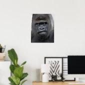 Flachlandgorilla, Gorilla gorilla, Poster (Thuiskantoor)