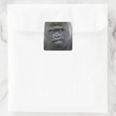 Flachlandgorilla, Gorilla gorilla, Vierkante Sticker (Tas)