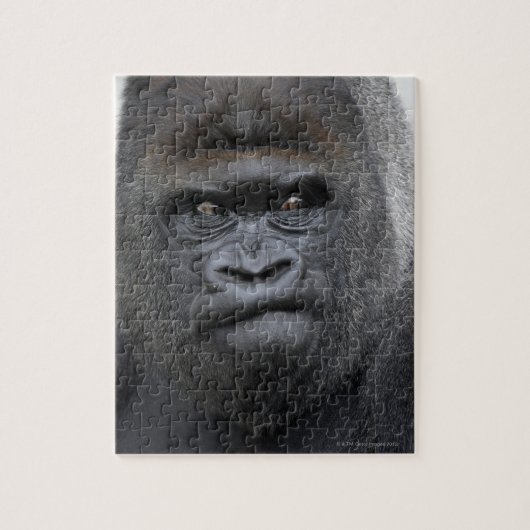 Flachlandgorilla, Gorilla Legpuzzel (Verticaal)