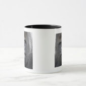 Flachlandgorilla, Gorilla Mok (Midden)