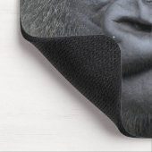 Flachlandgorilla, Gorilla Muismat (Hoek)