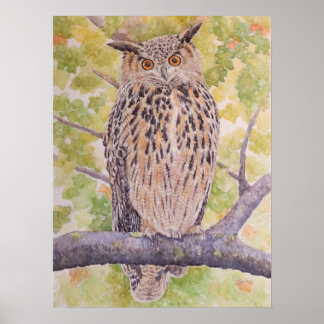 Flaco de Oehoe van de Eurazië Poster