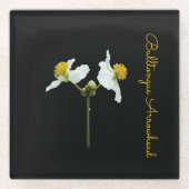 Flacon in zwarte keramische tegel glazen onderzetter (Voorkant)