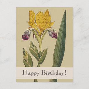 flacons Iris Happy Birthday Briefkaart
