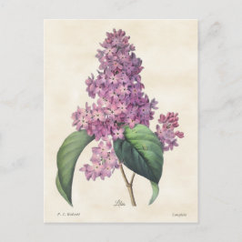 flacons van Bright Paarse Lilacs Briefkaart