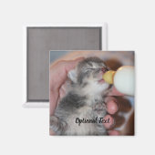 Flaconvoer Newborn Rescue Tablet Kitten Magneet (Voorkant / Achterkant)