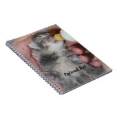 Flaconvoer Newborn Rescue Tablet Kitten Notitieboek (Rechterzijde)