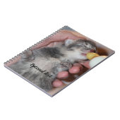 Flaconvoer Newborn Rescue Tablet Kitten Notitieboek (Linkerzijde)