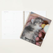 Flaconvoer Newborn Rescue Tablet Kitten Planner (Display)