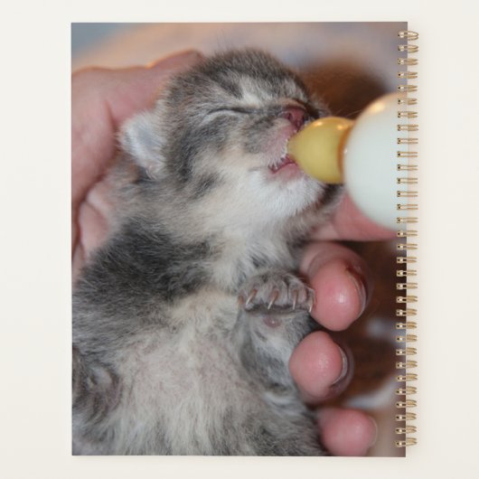 Flaconvoer Newborn Rescue Tablet Kitten Planner (Achterkant)