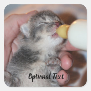 Flaconvoer Newborn Rescue Tablet Kitten Vierkante Sticker