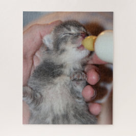 Flaconvoer Newborn-tablet Kitten Legpuzzel