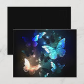 Fladderende Nachtvlinder Briefkaart (Voorkant / Achterkant)