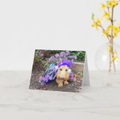 Fladdervlindertje Cutie Kaart (Gele Bloem)