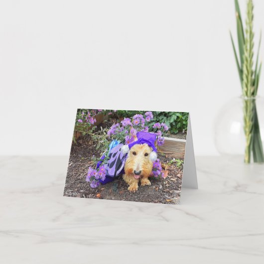 Fladdervlindertje Cutie Kaart (Voorkant)