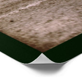 Flag Ebbets Park Baseball 1914 Poster (Hoek)