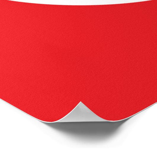 Flag of Turkey Poster (Hoek)