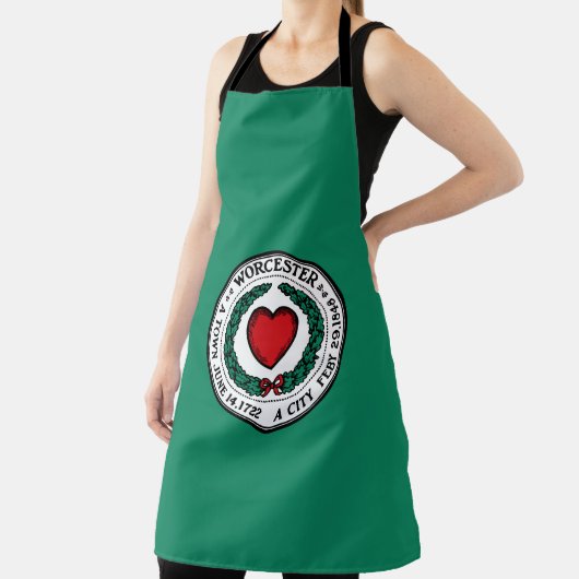 Flag of Worcester, Massachusetts  Schort (Insitu)