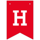 Flagers van de vierde Amerikaanse vlag Bunting Ban Vlaggetjes (Tweede vlag)