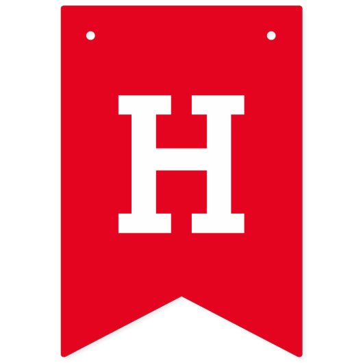 Flagers van de vierde Amerikaanse vlag Bunting Ban Vlaggetjes (Tweede vlag)