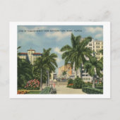 Flagler St., Miami, Florida  Briefkaart (Voorkant)