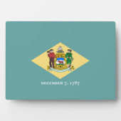 Flagontwerp van de Dell-staat Fotoplaat (voorkant)