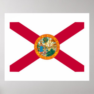 Flagontwerp van de staat Florida Poster