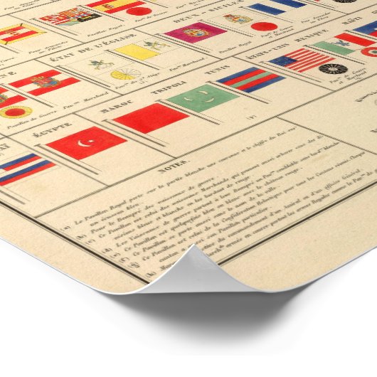 Flags, Badges Poster (Hoek)