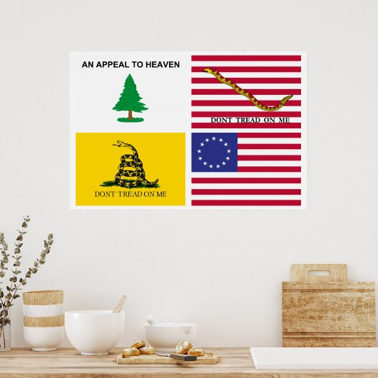 Flags Of The American Revolution Poster (Keuken)