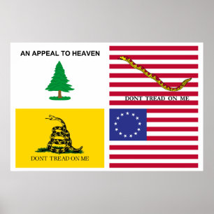 Flags Of The American Revolution Poster