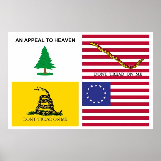 Flags Of The American Revolution Poster (Voorkant)