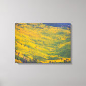 Flagstaff Arizona Aspens Canvas Afdruk (Voorkant)