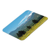 Flagstaff, Arizona Magneet (Linkerzijde)