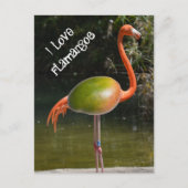 Flamango Briefkaart (Voorkant)