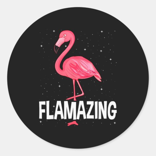 Flamazing Nk Flamingo Novelty Flamingo Lover Funny Ronde Sticker (Voorkant)