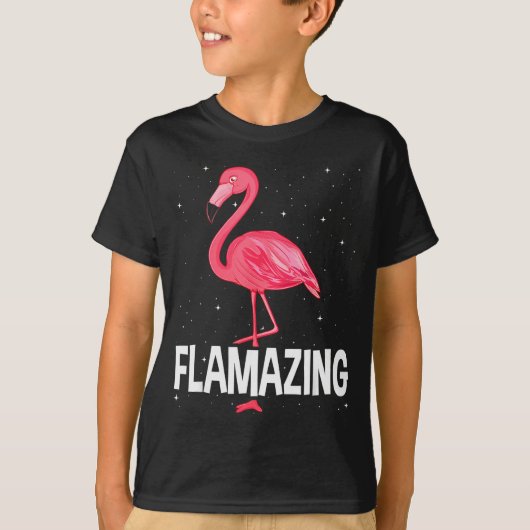 Flamazing Nk Flamingo Novelty Flamingo Lover Funny T-shirt (Voorkant)