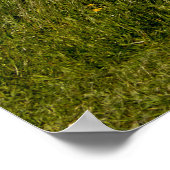 Flamborough Coast Poster (Hoek)