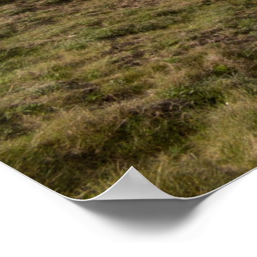 Flamborough Coast Poster (Hoek)