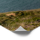 Flamborough Coast Poster (Hoek)