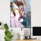 Flambouyant Nudi Poster (Thuiskantoor)