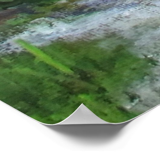 Flamboyan Tree, Caribisch gebied, Puerto Rico Poster (Hoek)