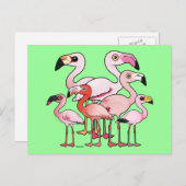 Flamboyance Briefkaart (Voorkant / Achterkant)