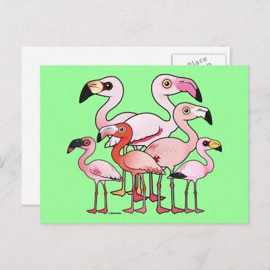 Flamboyance Briefkaart (Voorkant / Achterkant)