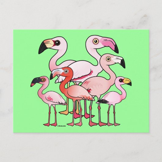 Flamboyance Briefkaart (Voorkant)