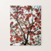 Flamboyant Flame Tree Royal Poinciana Fotografisch Legpuzzel (Verticaal)