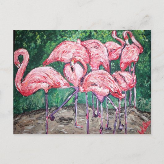 "Flamboyant Flamingos" Briefkaart (Voorkant)