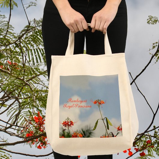 Flamboyant Royal Poinciana Blossom en Sky Blue Tote Bag