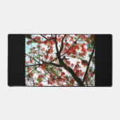 Flamboyant Royal Poinciana Boom Fotografisch Zwart Bureaumat (Voorkant)